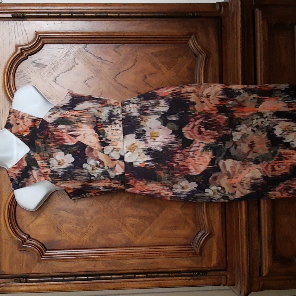 Coast Sleeveless Multicolor Ikat Floral Print Sheath Dress, Size 6